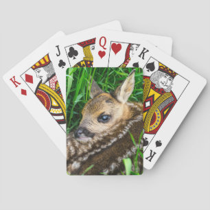 Cutest Baby Animals   Roe Deer Baby Playing Cards
