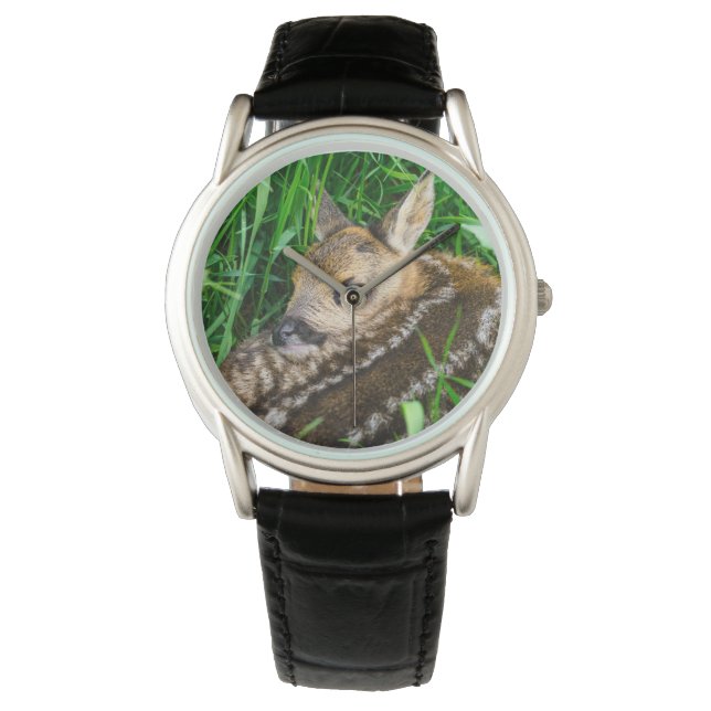 Cutest Baby Animals | Roe Deer Baby Watch (Front)