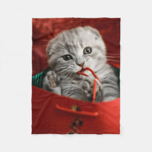 Cutest Baby Animals   Scottish Fold Kitten Fleece Blanket