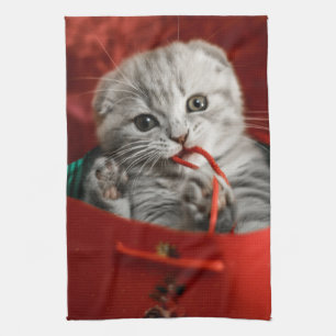 Cutest Baby Animals   Scottish Fold Kitten Kitchen Towel