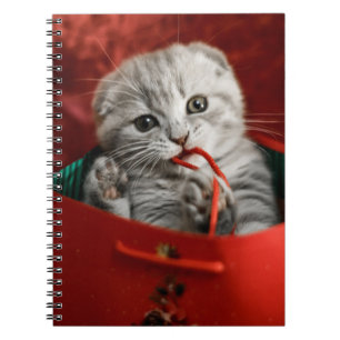 Cutest Baby Animals Scottish Fold Kitten Notebook