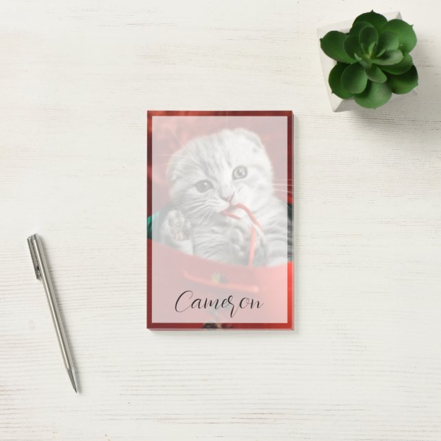 Cutest Baby Animals | Scottish Fold Kitten Post-it Notes (Office)