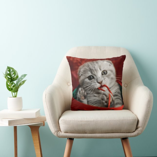 Cutest Baby Animals | Scottish Fold Kitten Throw Pillow (Chair)