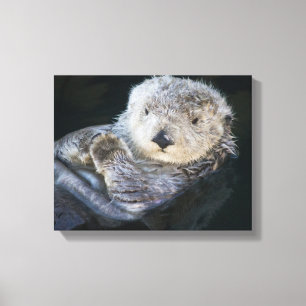 Cutest Baby Animals   Sea Otter Floating Canvas Print