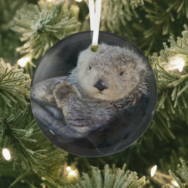 Cutest Baby Animals | Sea Otter Floating Glass Ornament (Insitu)