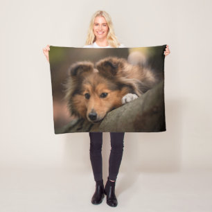 Cutest Baby Animals   Shetland Sheepdog Puppy Fleece Blanket