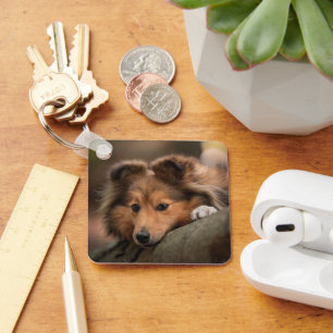 Cutest Baby Animals   Shetland Sheepdog Puppy Keychain