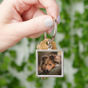Cutest Baby Animals Shetland Sheepdog Puppy Keychain