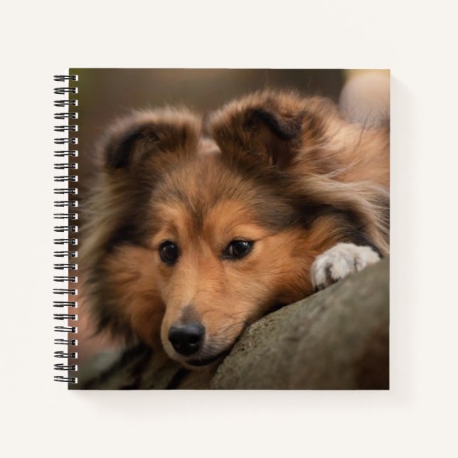Cutest Baby Animals | Shetland Sheepdog Puppy Notebook (Front)