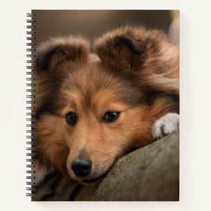Cutest Baby Animals Shetland Sheepdog Puppy Notebook
