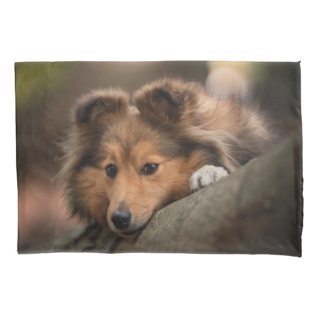 Cutest Baby Animals | Shetland Sheepdog Puppy Pillowcase (Front)