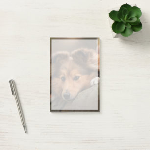 Cutest Baby Animals Shetland Sheepdog Puppy Post-it Notes