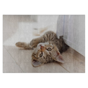 Cutest Baby Animals   Shorthair Tabby Kitten Cutting Board