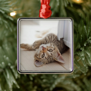 Cutest Baby Animals   Shorthair Tabby Kitten Metal Ornament