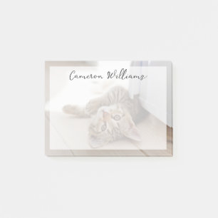 Cutest Baby Animals   Shorthair Tabby Kitten Post-it Notes