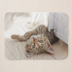 Cutest Baby Animals Shorthair Tabby Kitten Sherpa Blanket