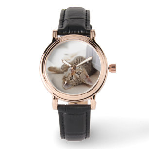 Cutest Baby Animals   Shorthair Tabby Kitten Watch