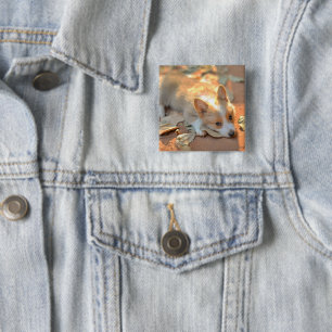 Cutest Baby Animals   Shy Corgi 2 Inch Square Button