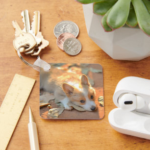 Cutest Baby Animals Shy Corgi Keychain