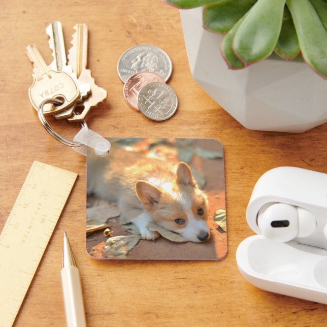 Cutest Baby Animals | Shy Corgi Keychain (Desk)