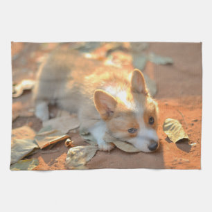 Cutest Baby Animals Shy Corgi Kitchen Towel