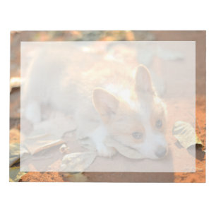 Cutest Baby Animals Shy Corgi Notepad