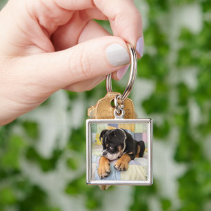 Cutest Baby Animals   Shy Old English Bulldog Keychain
