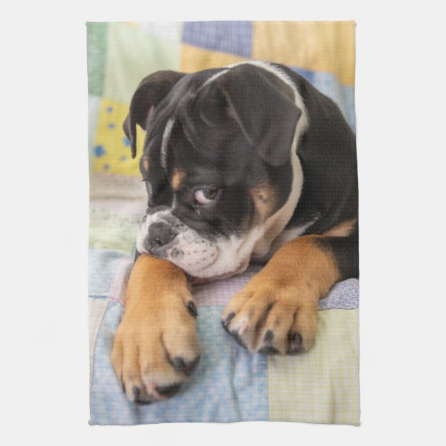 Cutest Baby Animals | Shy Old English Bulldog Kitchen Towel (Vertical)