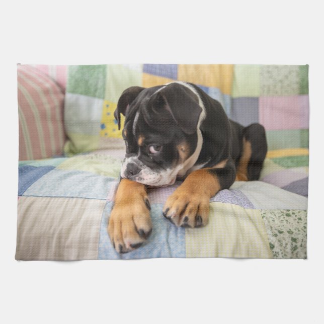 Cutest Baby Animals | Shy Old English Bulldog Kitchen Towel (Horizontal)