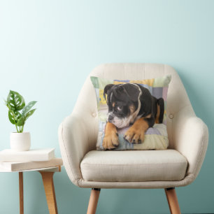 Cutest Baby Animals Shy Old English Bulldog Throw Pillow