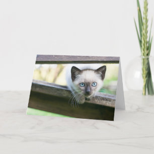 Cutest Baby Animals Siamese Kitten 2 Card