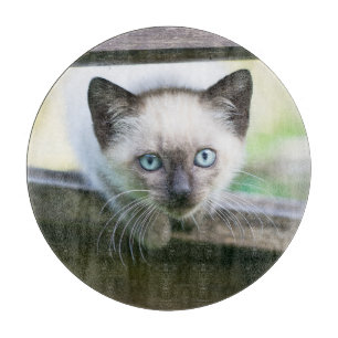 Cutest Baby Animals   Siamese Kitten 2 Cutting Board