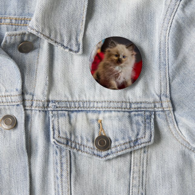 Cutest Baby Animals | Siamese Kitten 2 Inch Round Button (In Situ)