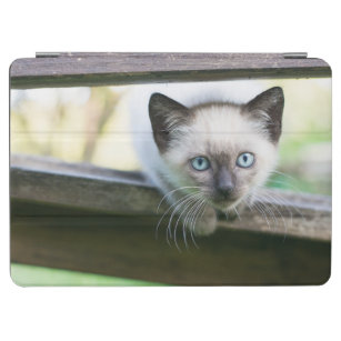 Cutest Baby Animals   Siamese Kitten 2 iPad Air Cover