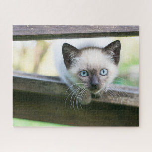 Cutest Baby Animals Siamese Kitten 2 Jigsaw Puzzle