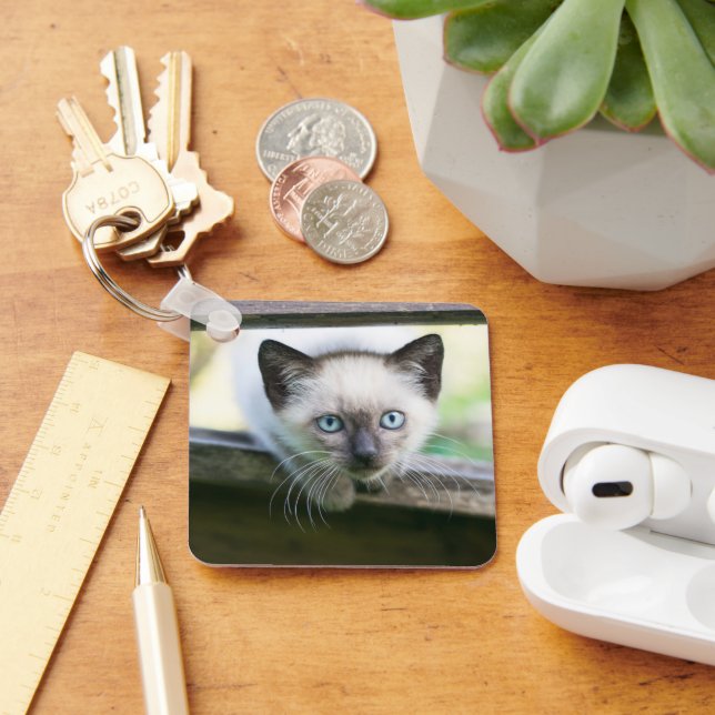 Cutest Baby Animals | Siamese Kitten 2 Keychain (Desk)