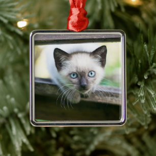 Cutest Baby Animals   Siamese Kitten 2 Metal Ornament