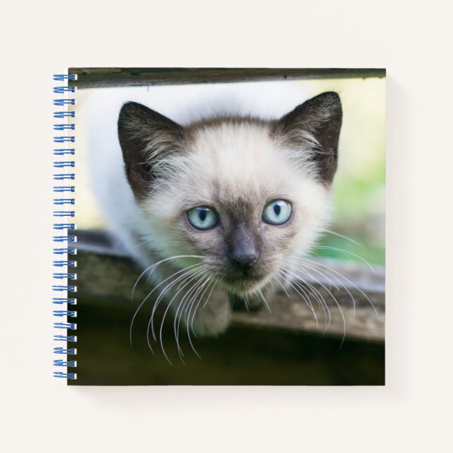 Cutest Baby Animals | Siamese Kitten 2 Notebook (Front)