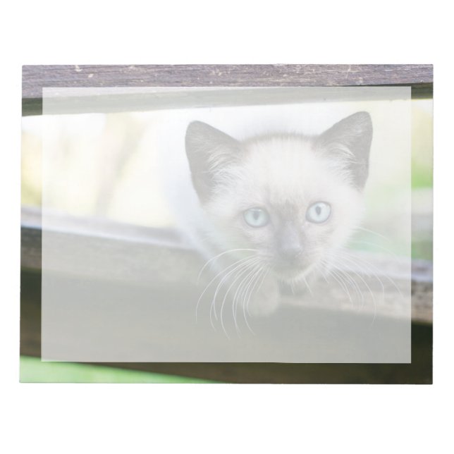 Cutest Baby Animals | Siamese Kitten 2 Notepad (Front)