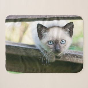 Cutest Baby Animals Siamese Kitten 2 Sherpa Blanket