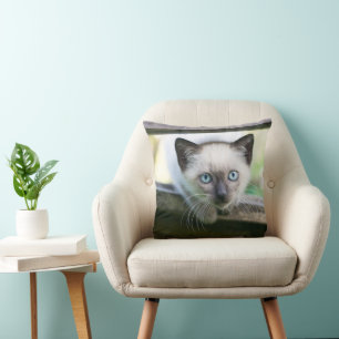Cutest Baby Animals Siamese Kitten 2 Throw Pillow