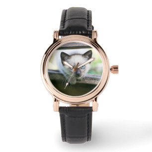 Cutest Baby Animals   Siamese Kitten 2 Watch