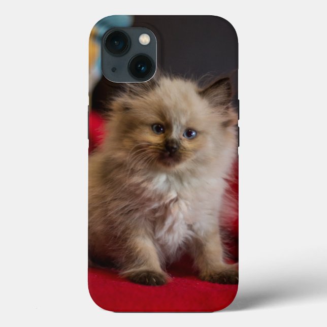 Cutest Baby Animals | Siamese Kitten Case-Mate iPhone Case (Back)