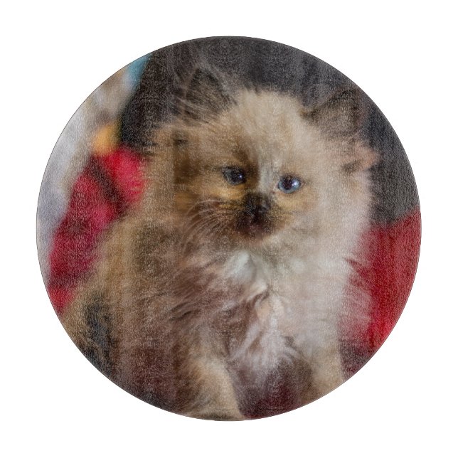 Cutest Baby Animals | Siamese Kitten Cutting Board (Front)