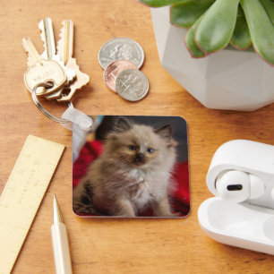 Cutest Baby Animals Siamese Kitten Keychain