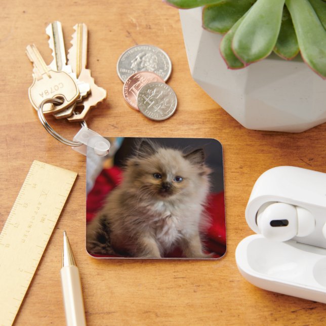 Cutest Baby Animals | Siamese Kitten Keychain (Desk)