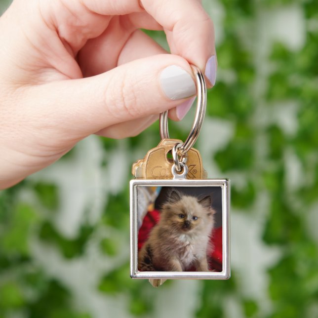 Cutest Baby Animals | Siamese Kitten Keychain (Hand)