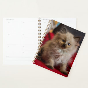 Cutest Baby Animals Siamese Kitten Planner