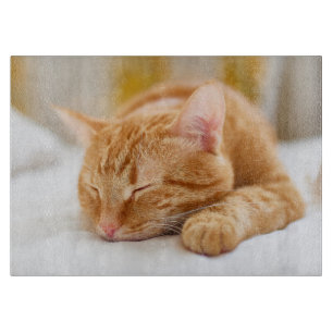 Cutest Baby Animals Sleeping Ginger Cat Cutting Board