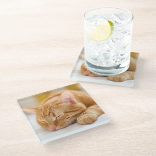 Cutest Baby Animals   Sleeping Ginger Cat Glass Coaster